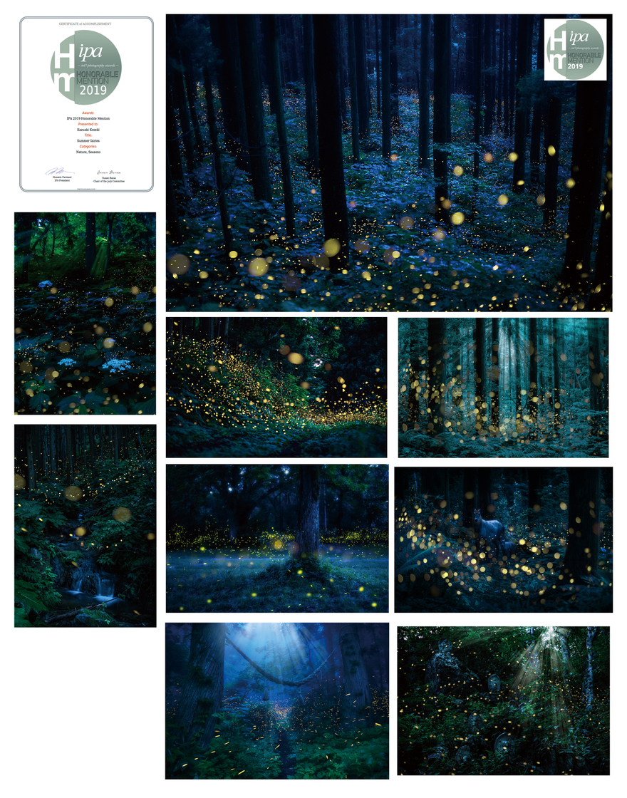 写真家.コンテスト.ipa.海外フォトコンテスト