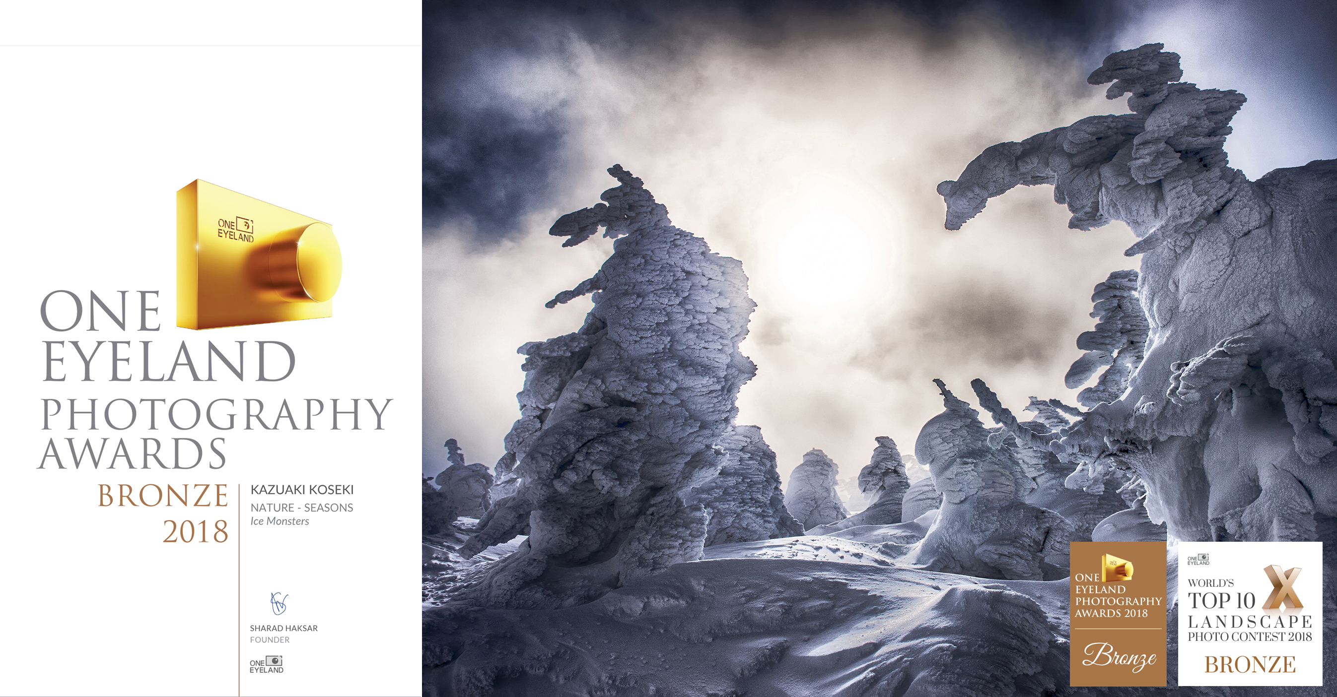 oneeyeland.landscape.樹氷.snowmonster