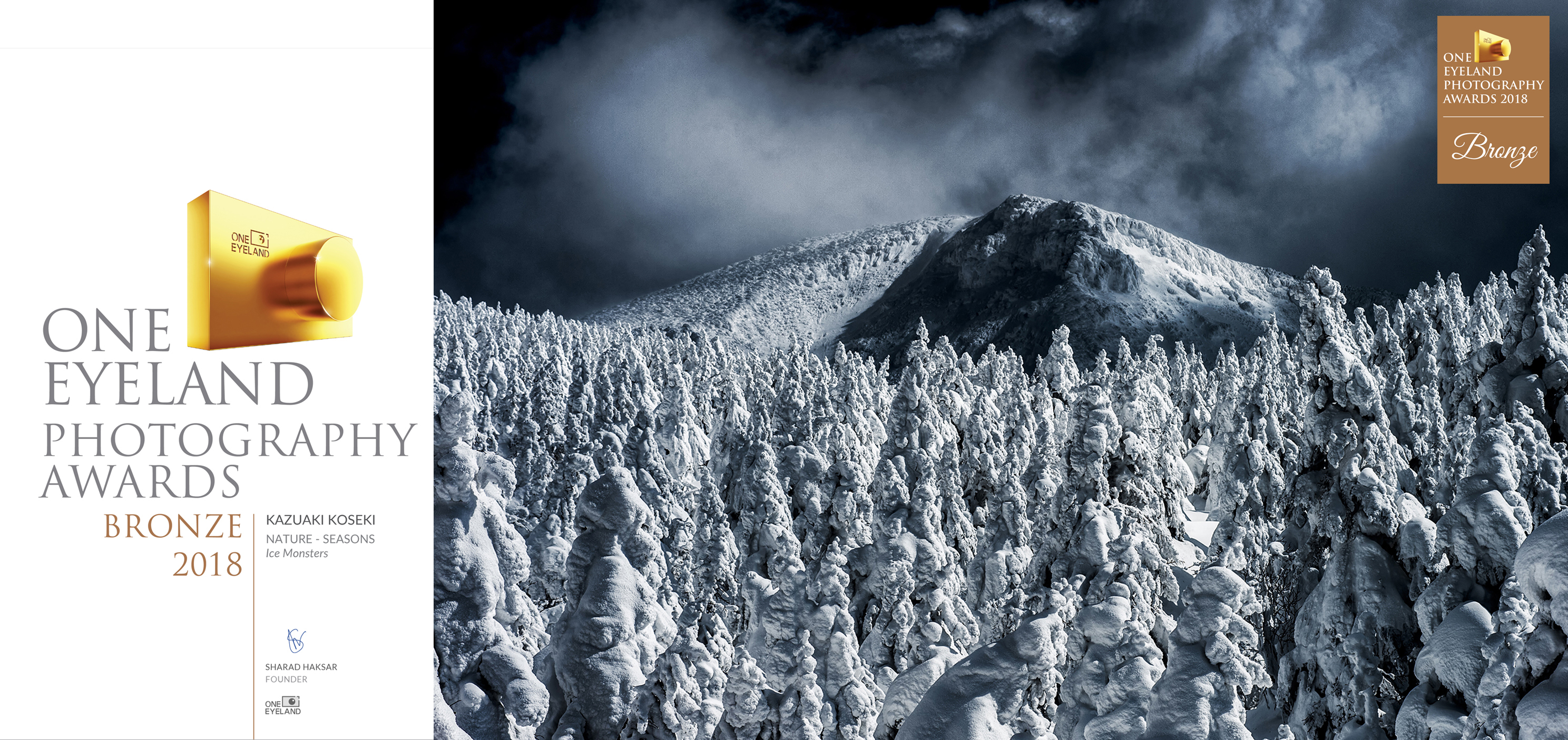 樹氷.icemonster.snowmonster