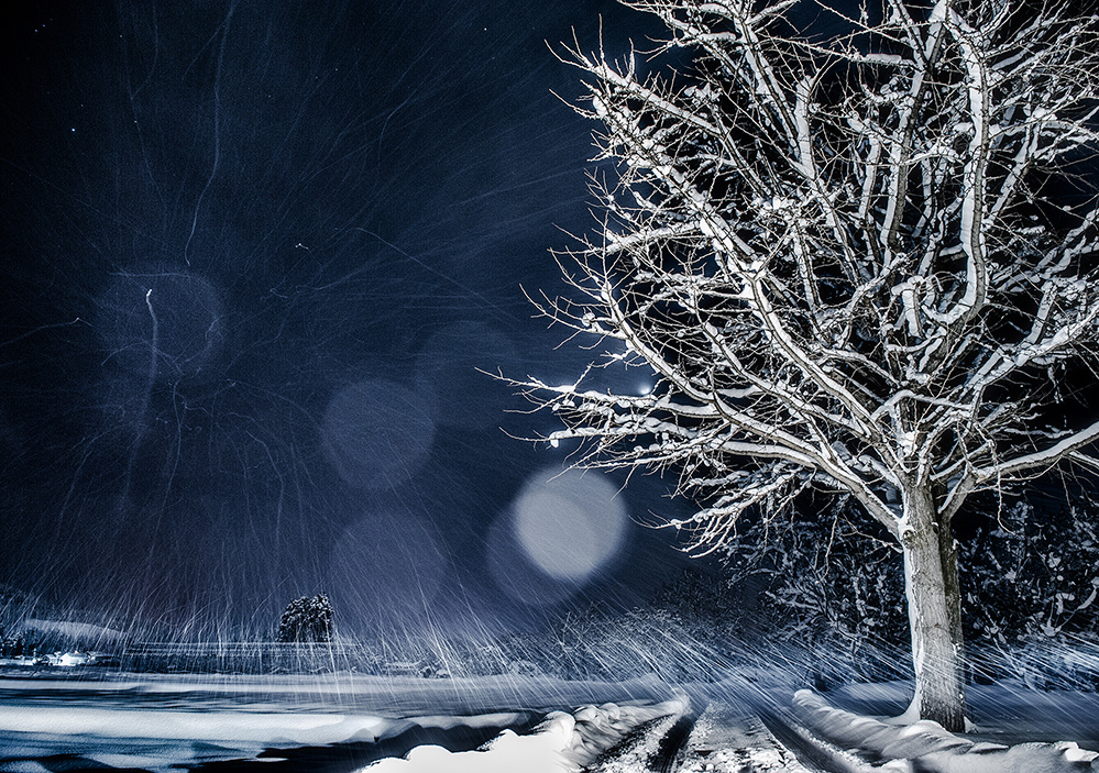 山形.風景写真家.小関一成