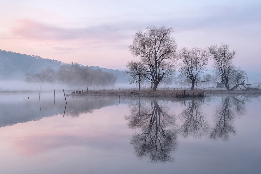 オリジナルプリント.小関一成.写真家