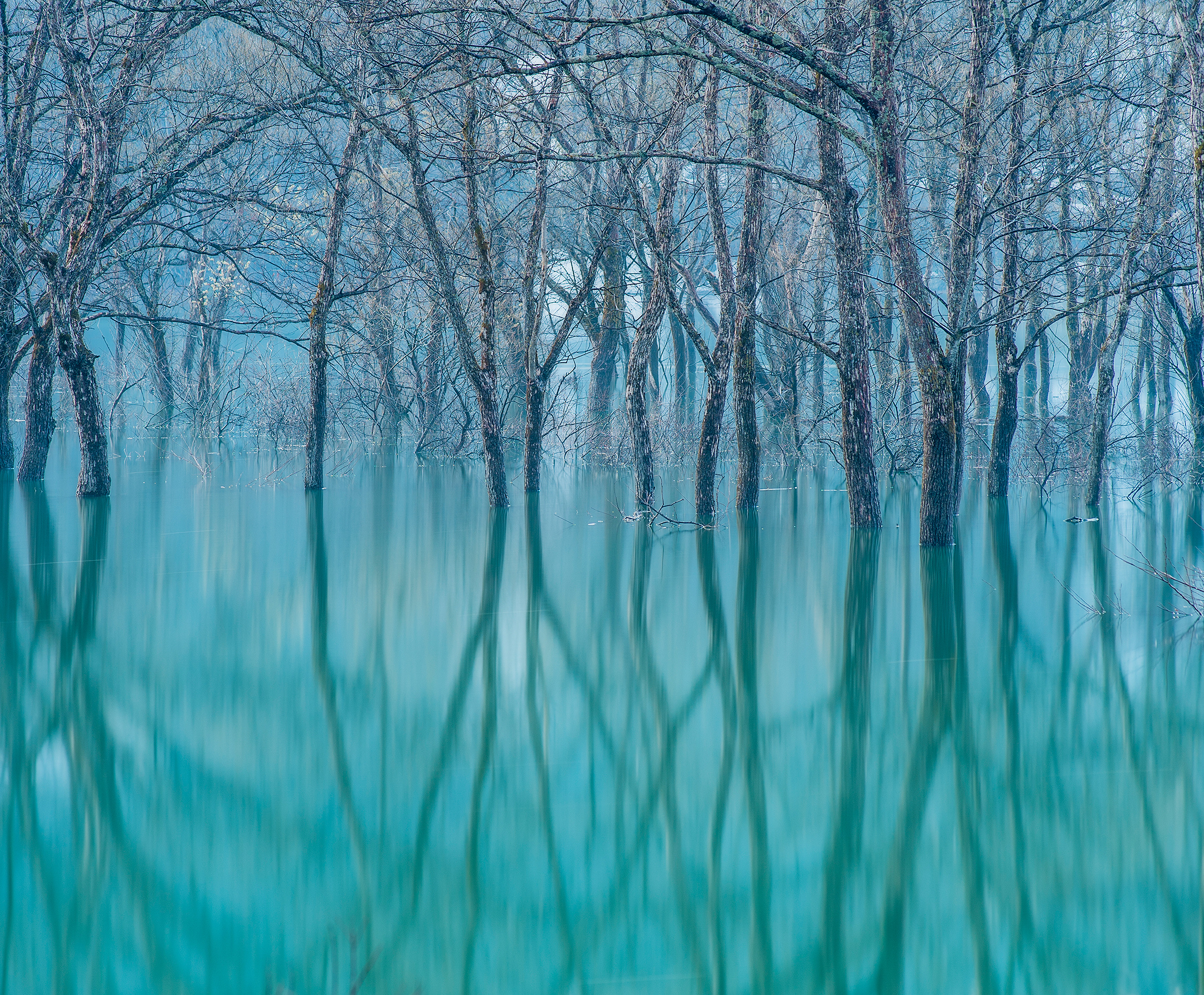 ナショナルジオグラフィック.japan.yamagata.nationakgeographic.樹氷