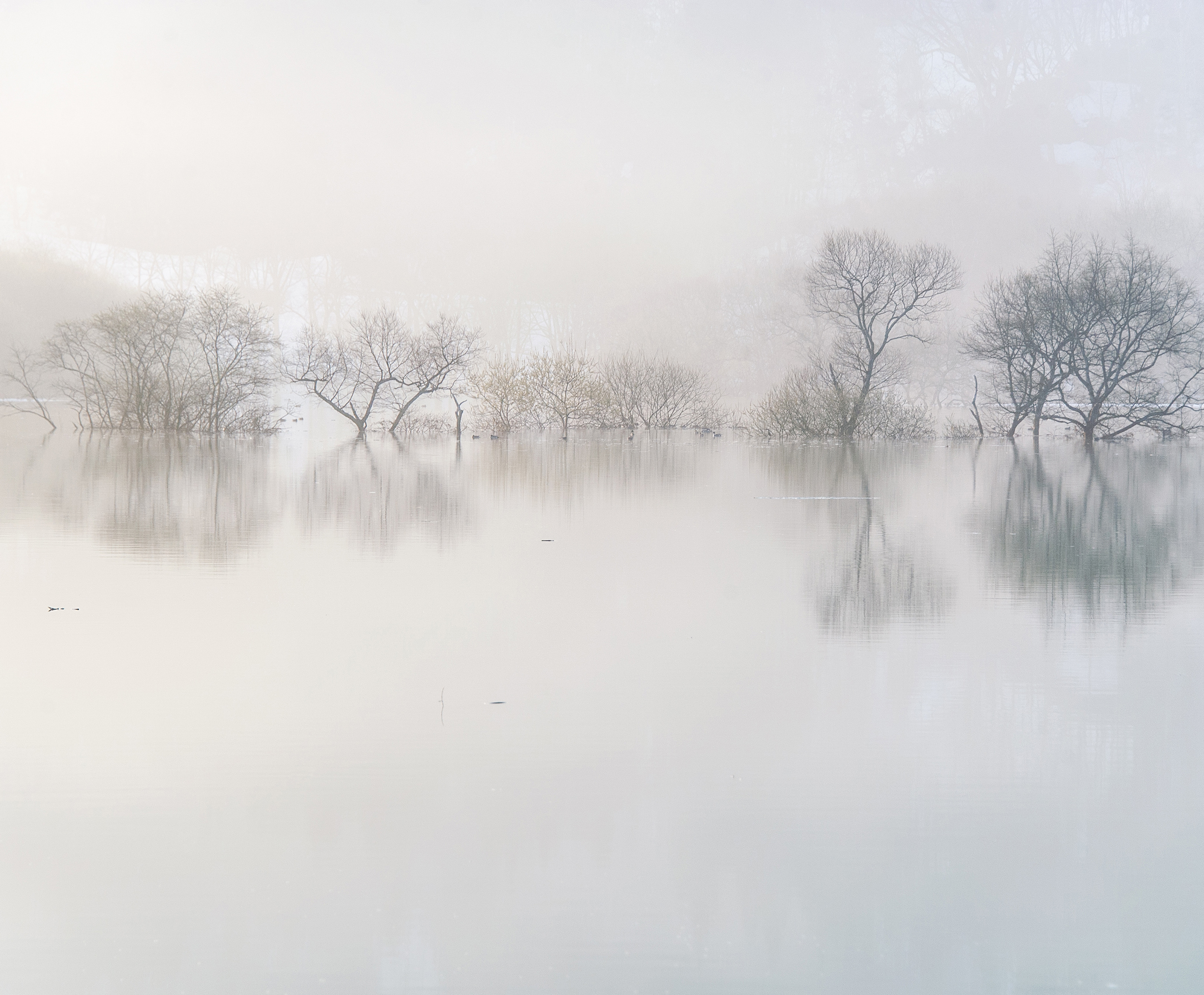 写真作家.photographer.写真展