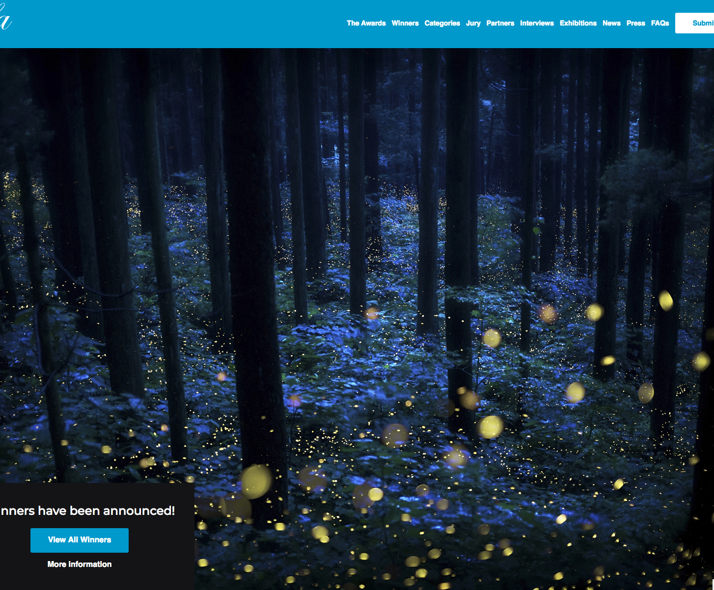 写真作家.photographer.写真展