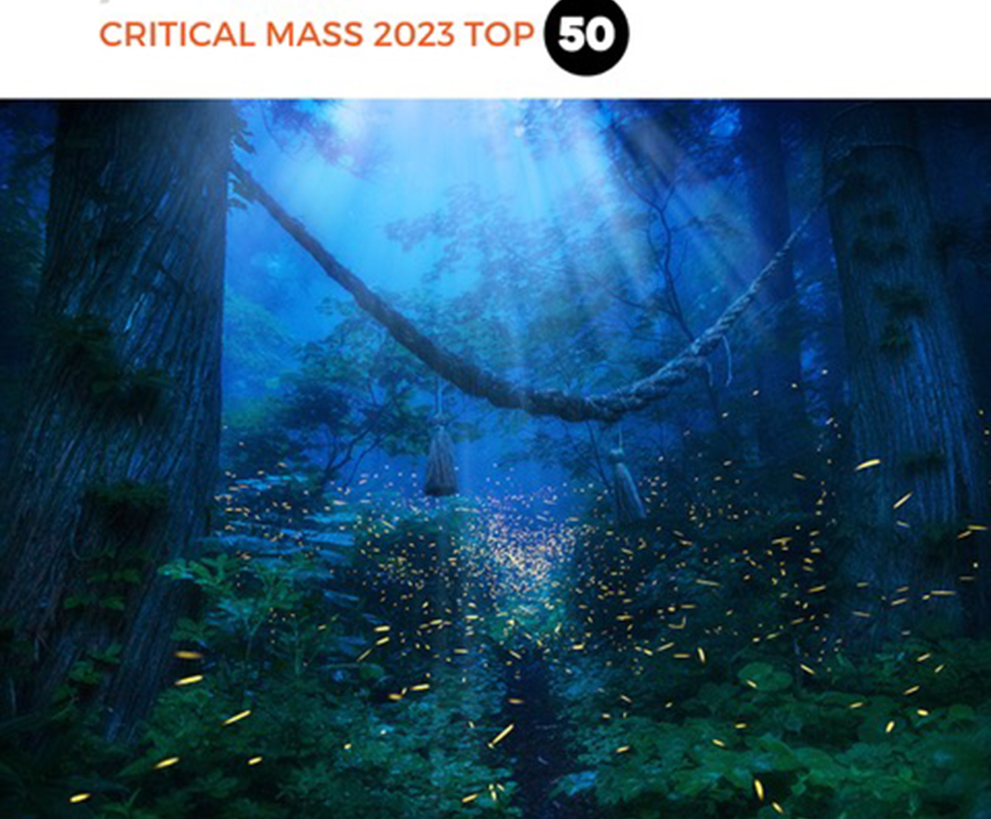 lensculture.firefly.kazuakikoseki.japan