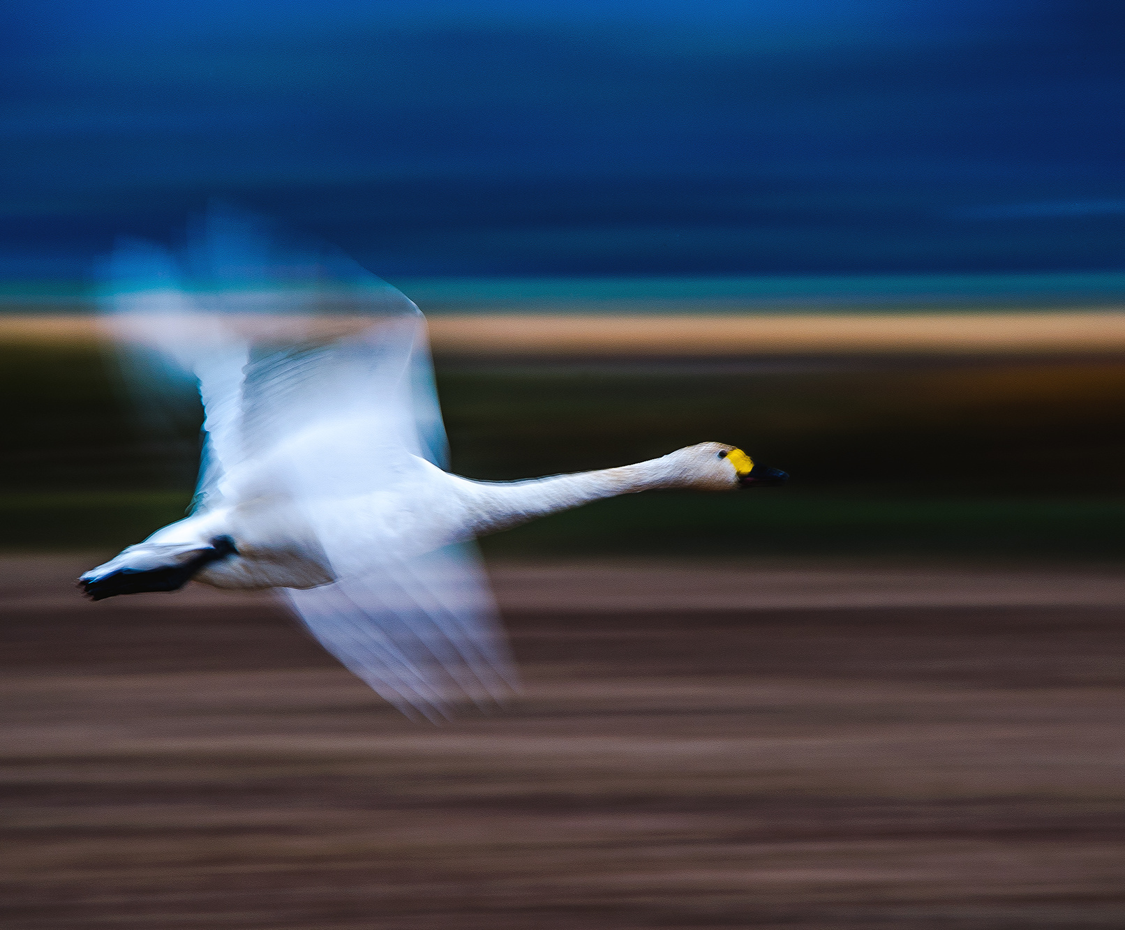 ナショナルジオグラフィック.japan.yamagata.nationakgeographic.樹氷