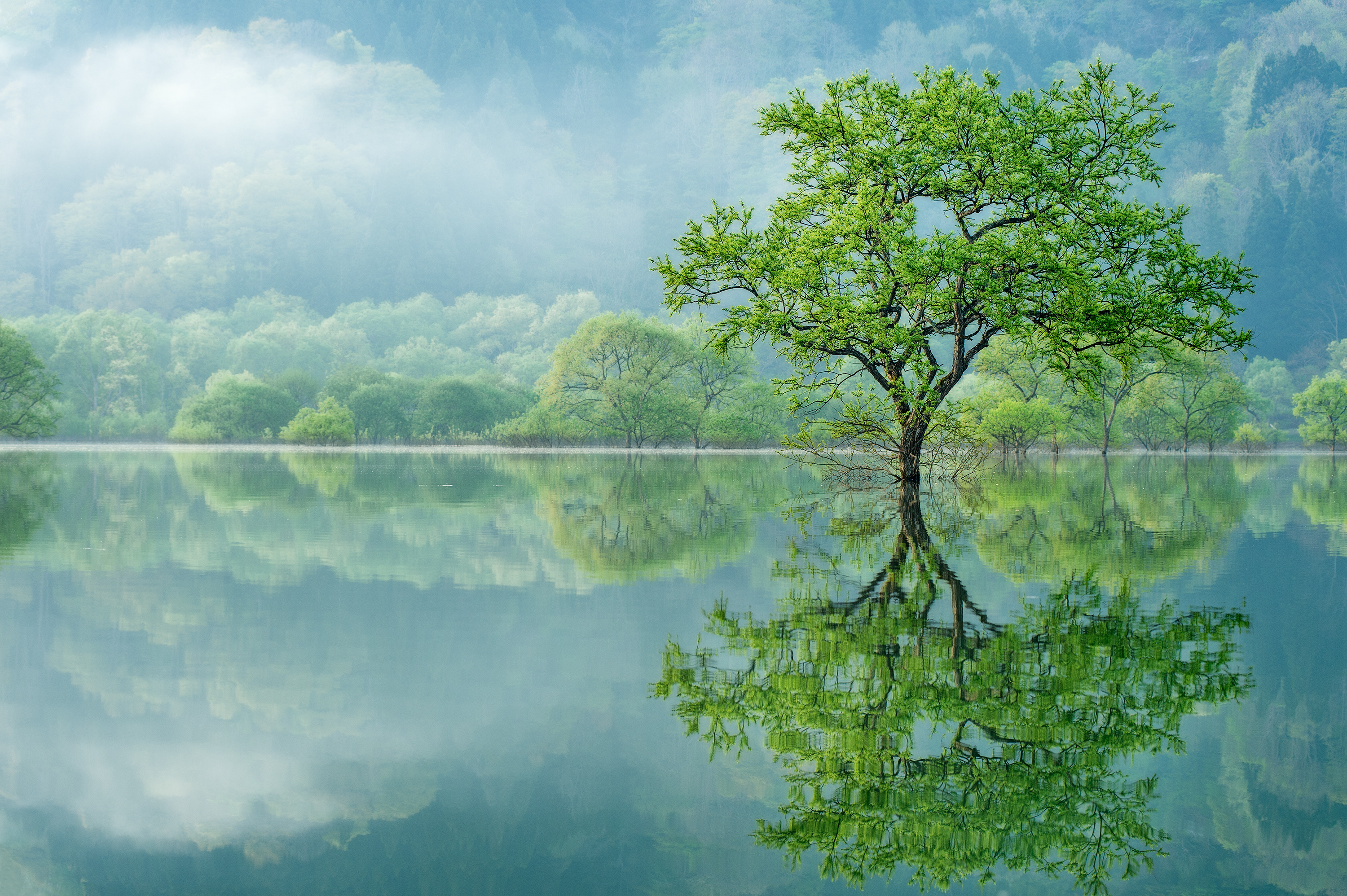 白川湖.山形.wpc.kazuakikoseki