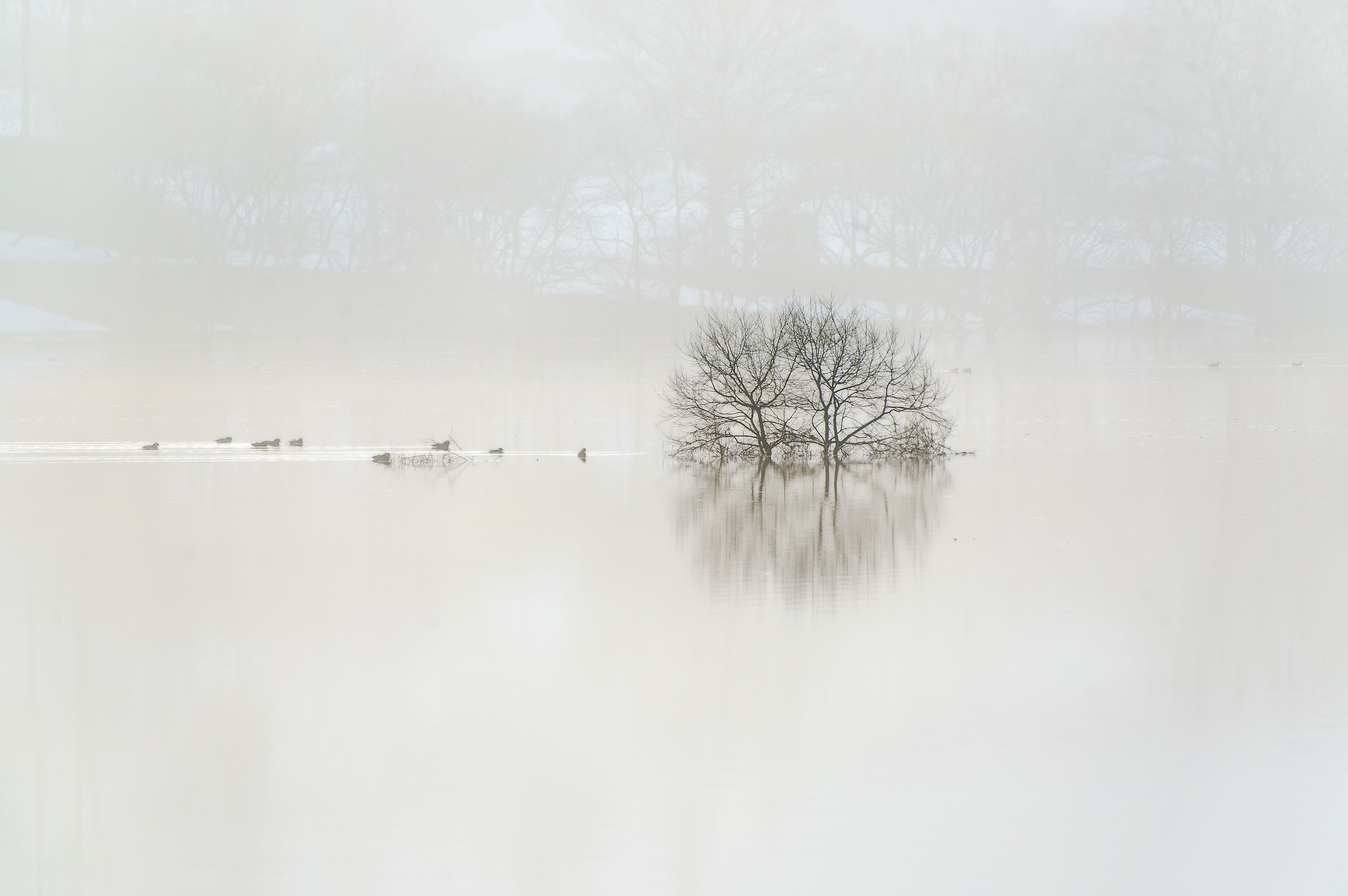 白川湖.山形.wpc.kazuakikoseki