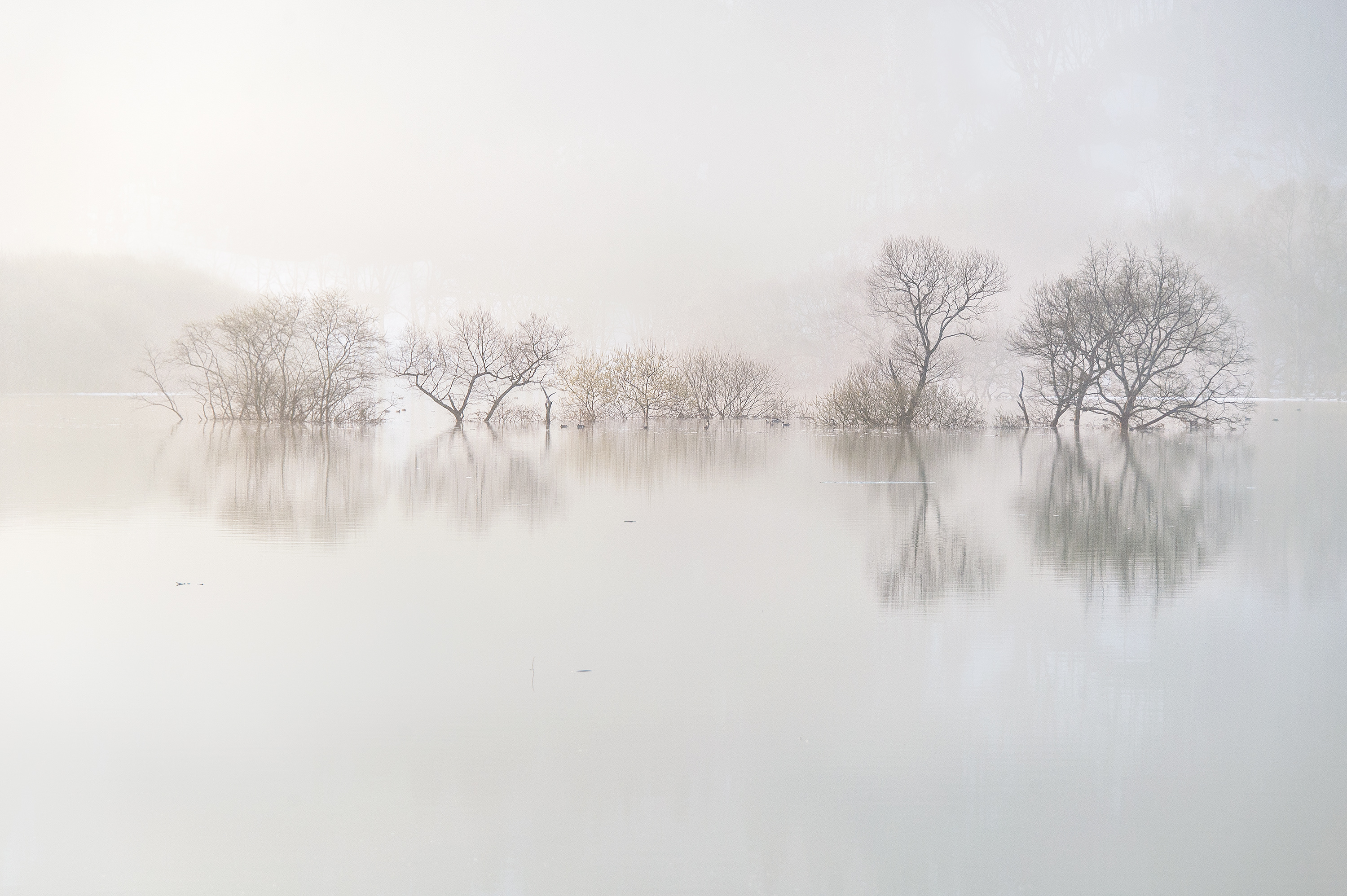 natgeo.ナショジオ.kazuakikoseki.snowmonster