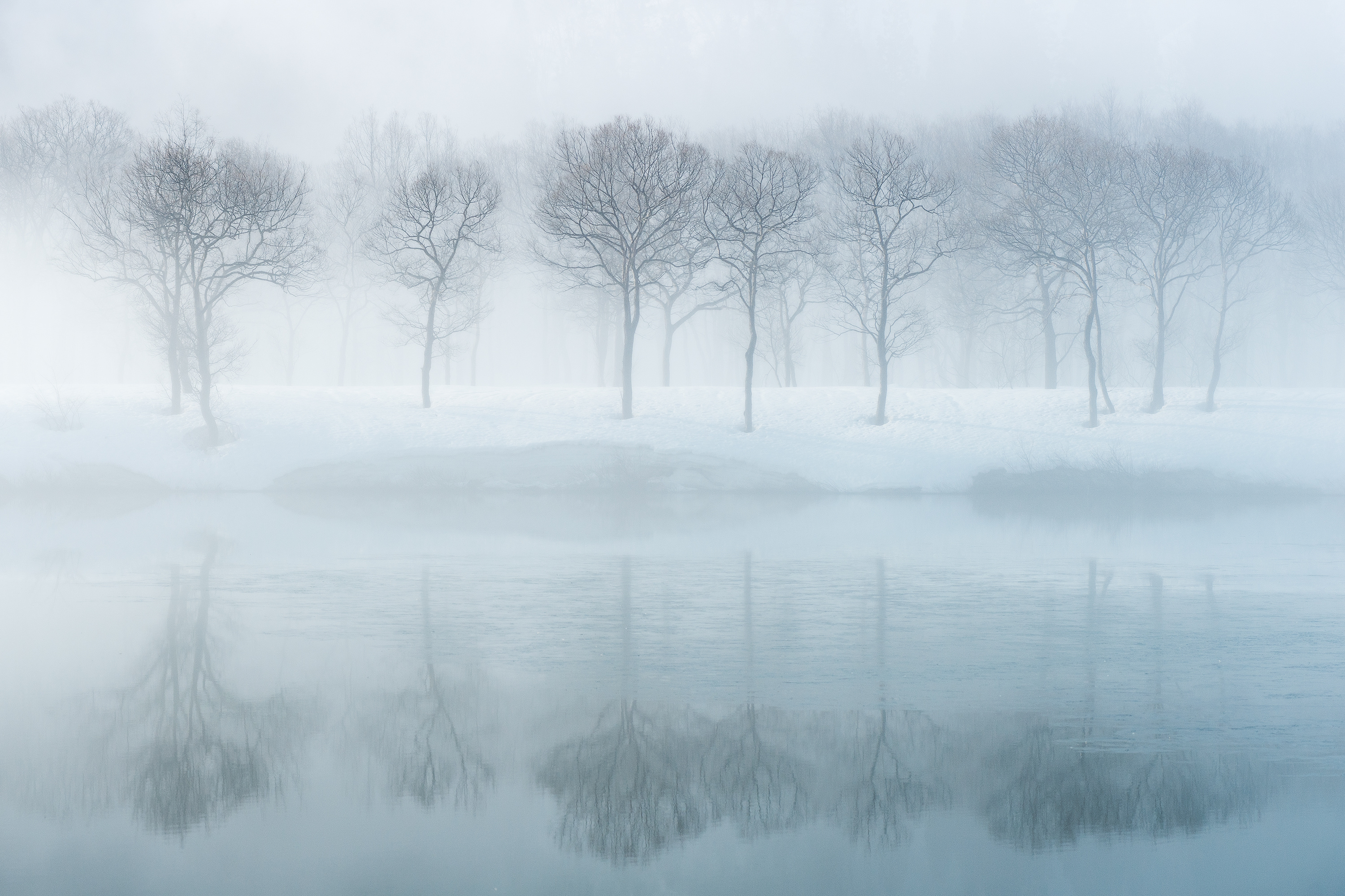 firefly.ヒメボタル.山形