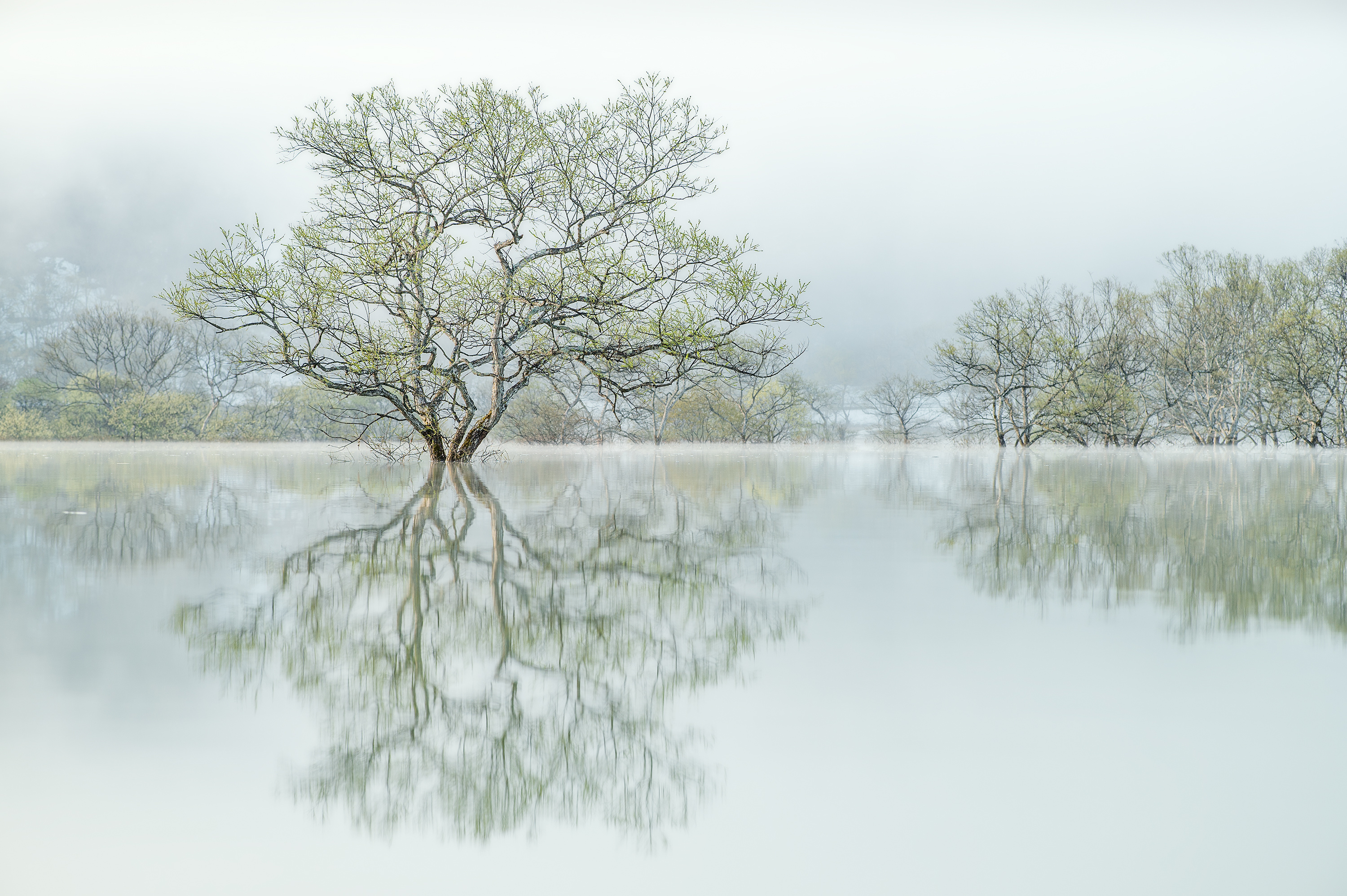 白川湖.山形.wpc.kazuakikoseki