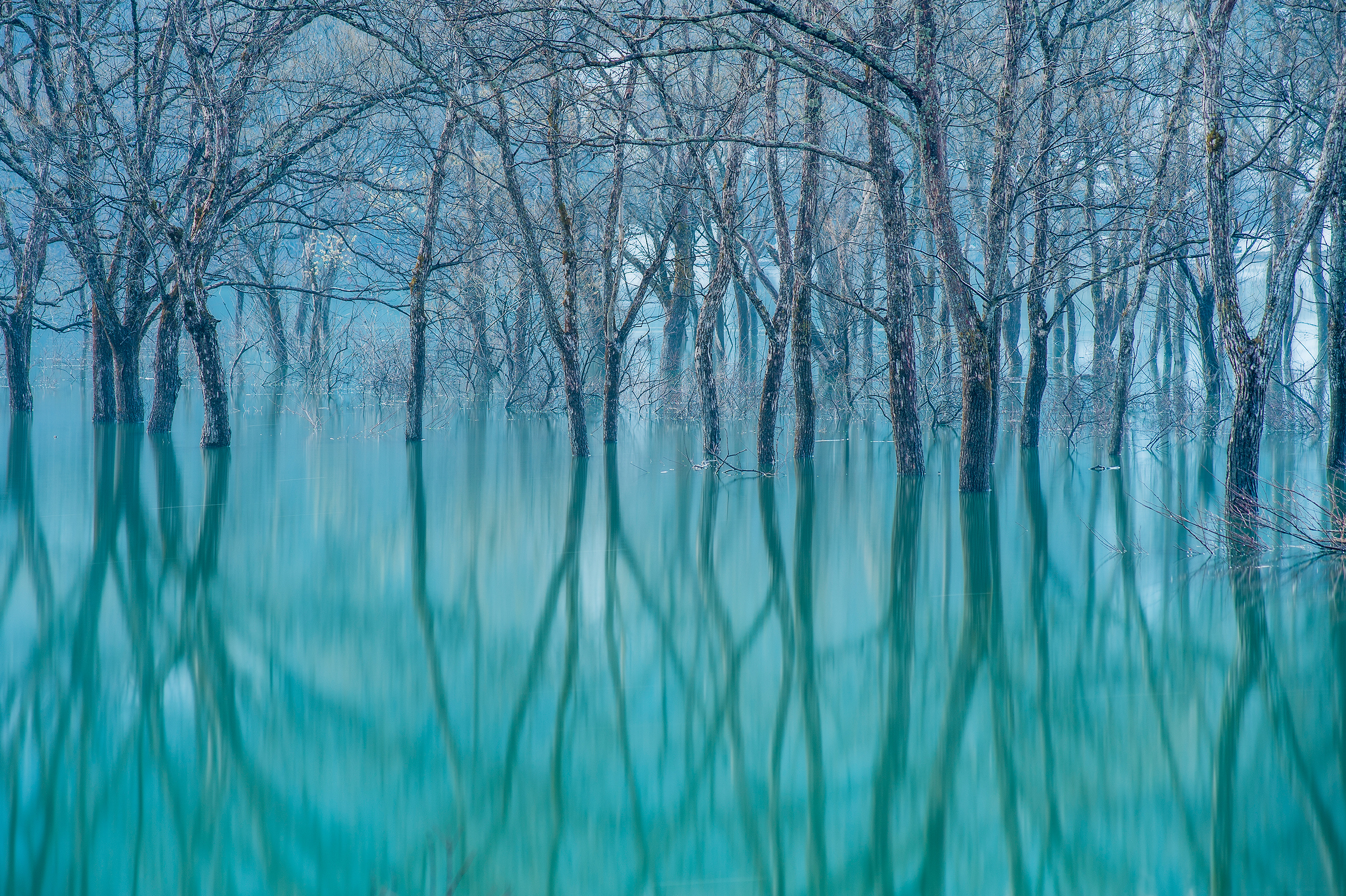 natgeo.ナショジオ.kazuakikoseki.snowmonster