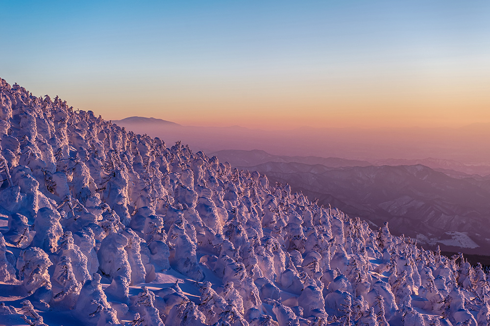 natgeo.ナショジオ.kazuakikoseki.snowmonster